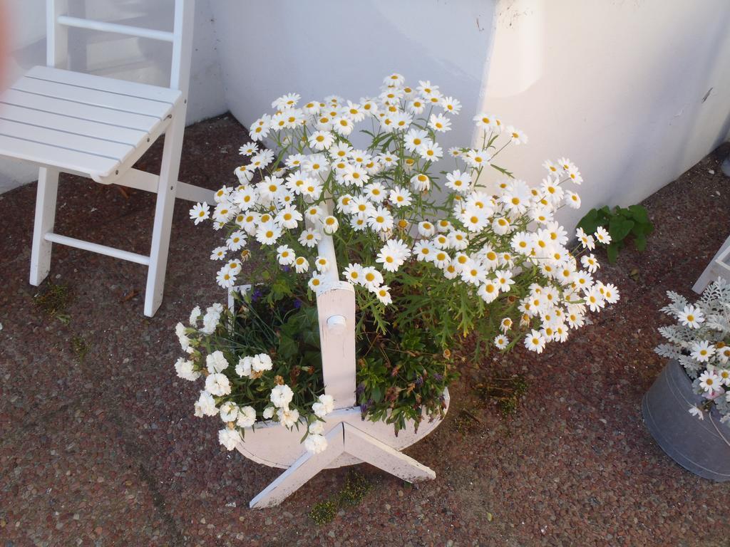 Hotel Oddevej 20 Skagen Esterno foto